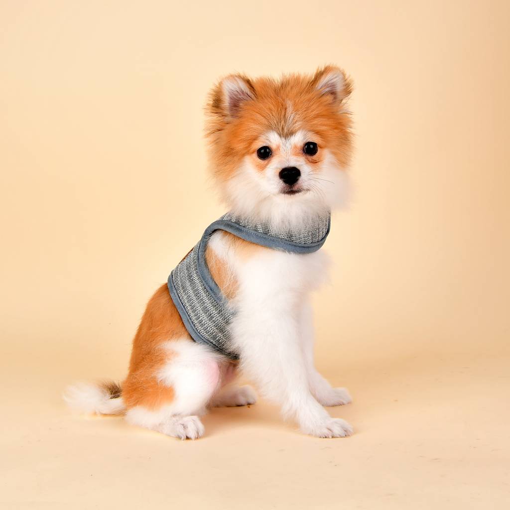 Pinkaholic Elicia Harness Pinka grey - Premium hondentuig > honden harnas from Pinkaholic - Just €20! Shop now at Frenkiezdogshop