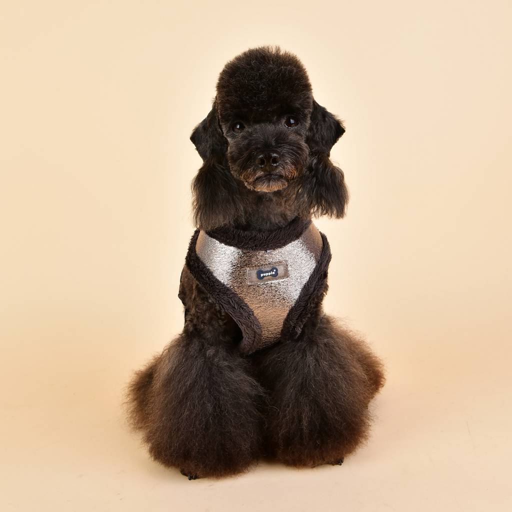Puppia Evon Harness model A silver ( ALLEEN XLARGE ) - Premium hondentuig > honden harnas from Puppia - Just €20! Shop now at Frenkiezdogshop