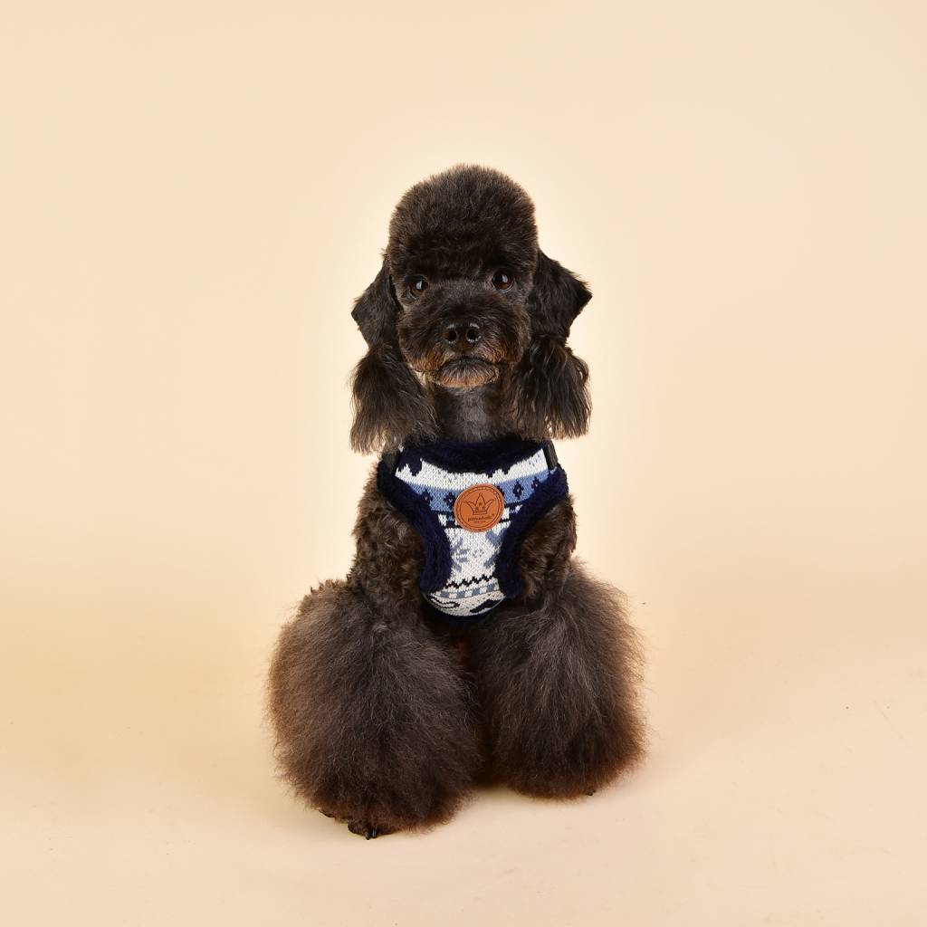 Pinkaholic Joy Harness navy model C - Premium hondentuig > honden harnas from Pinkaholic - Just €20! Shop now at Frenkiezdogshop