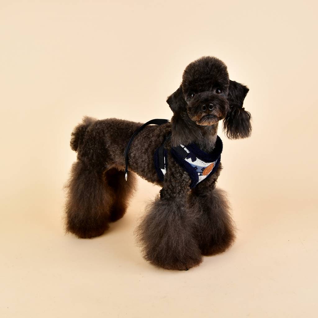 Pinkaholic Joy Harness navy model C hondentuig > honden harnas > model C Small