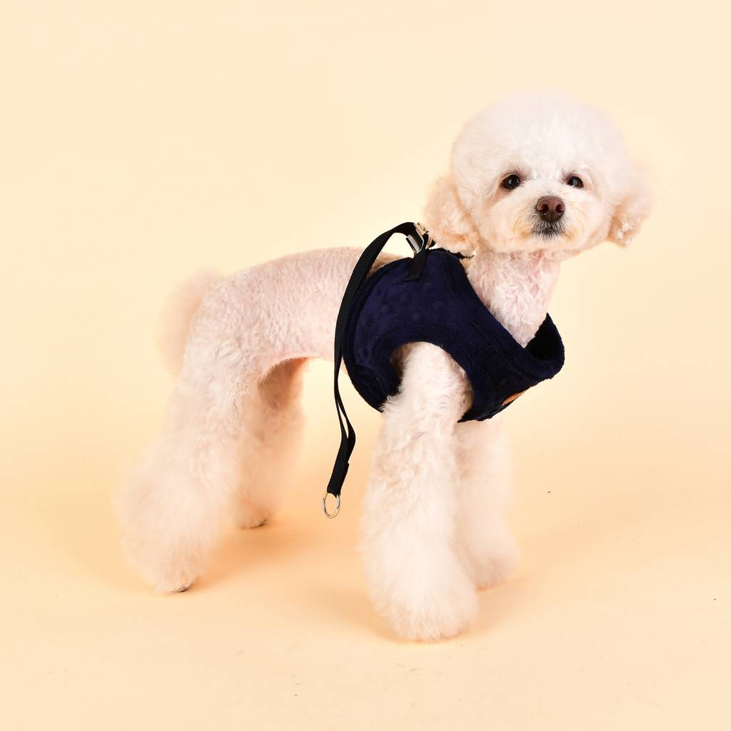 Pinkaholic Polina Harness Q navy - Premium hondentuig > honden harnas from Pinkaholic - Just €20! Shop now at Frenkiezdogshop