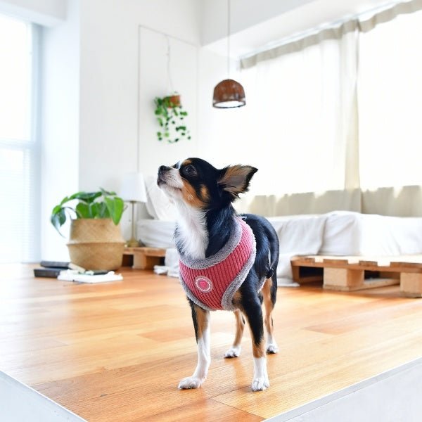 Pinkaholic Lucca Harness Dark Pink hondentuig > honden harnas > model A Small