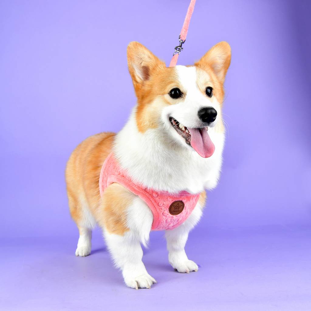 Pinkaholic Polina Harness Q hot pink - Premium hondentuig > honden harnas from Pinkaholic - Just €20! Shop now at Frenkiezdogshop