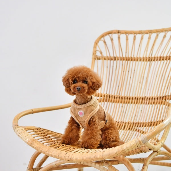 Pinkaholic Lucca Harness Beige - Premium hondentuig > honden harnas from Pinkaholic - Just €20! Shop now at Frenkiezdogshop