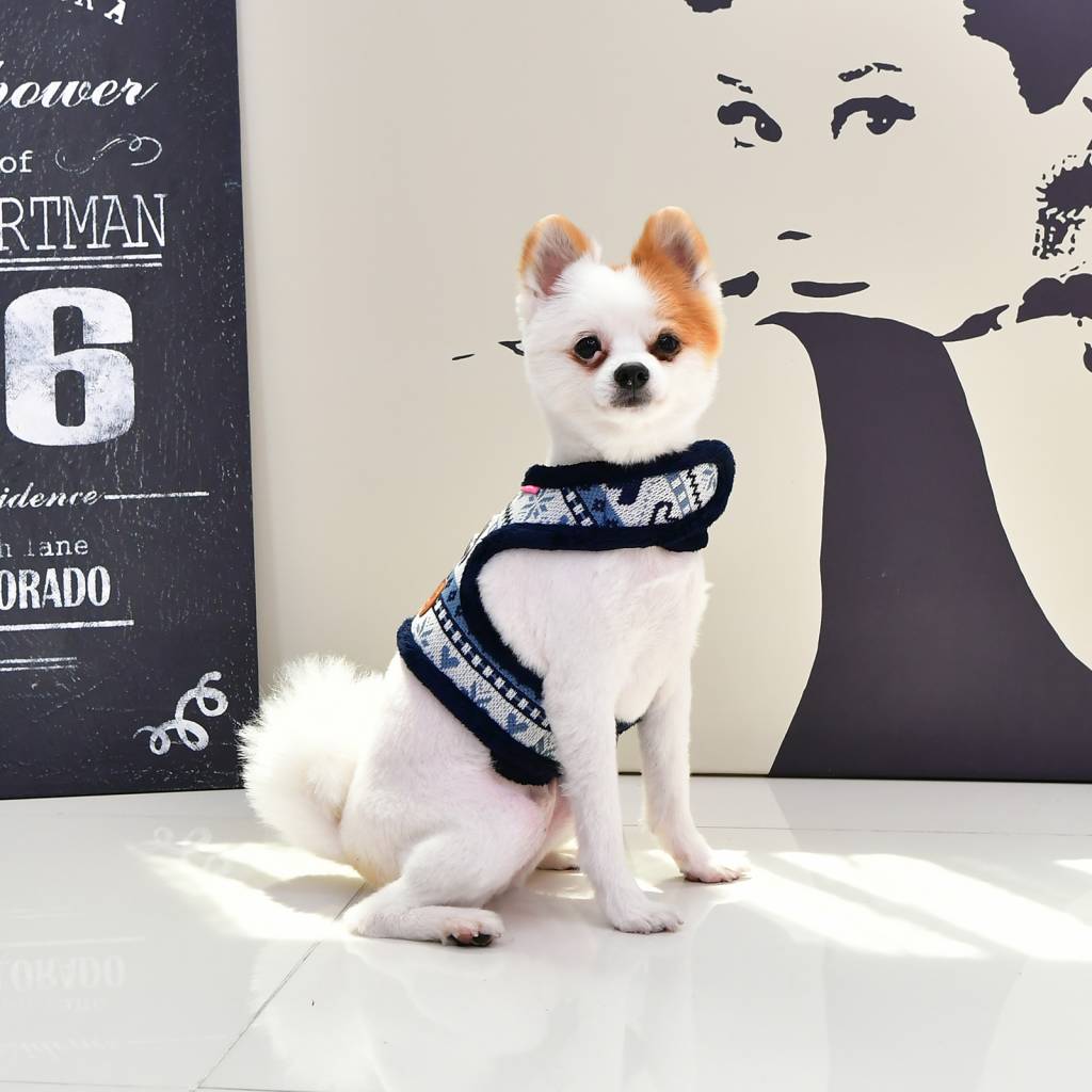 Pinkaholic Joy Harness Pinka navy - Premium hondentuig > honden harnas from Pinkaholic - Just €20! Shop now at Frenkiezdogshop