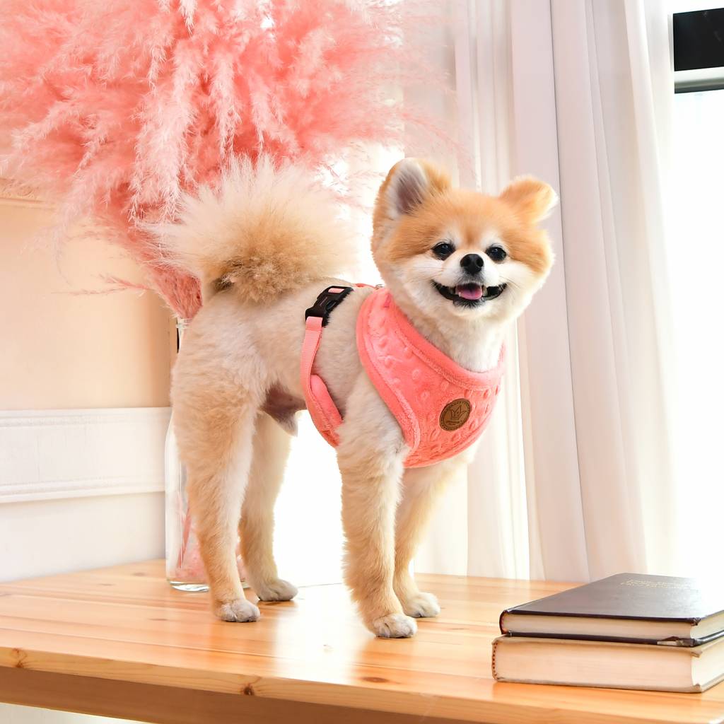 Pinkaholic Polina Harness hot pink hondentuig > honden harnas > model A Small