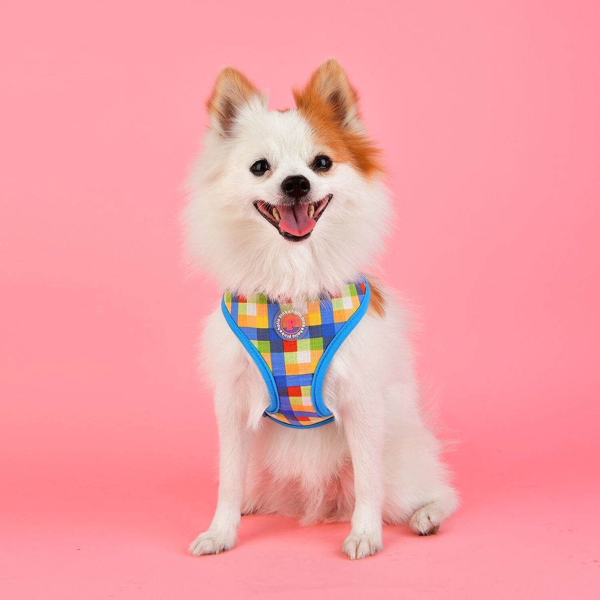Pinkaholic Vivica Harness blue - Premium hondentuig > honden harnas from Pinkaholic - Just €20! Shop now at Frenkiezdogshop