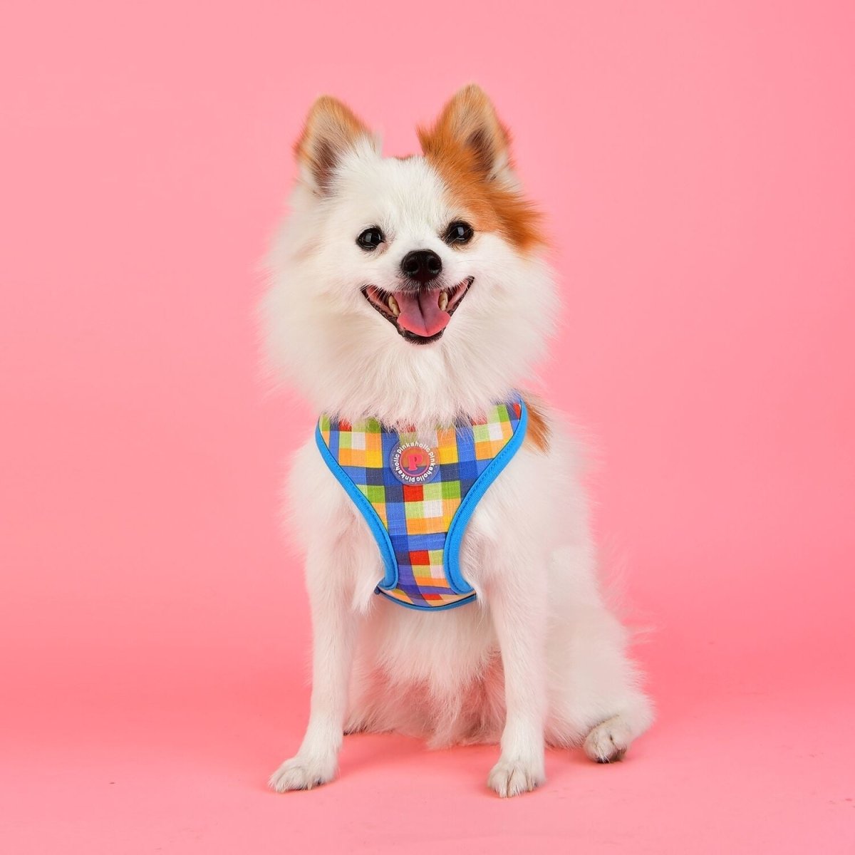 Pinkaholic Vivica Harness blue hondentuig > honden harnas > model A Small