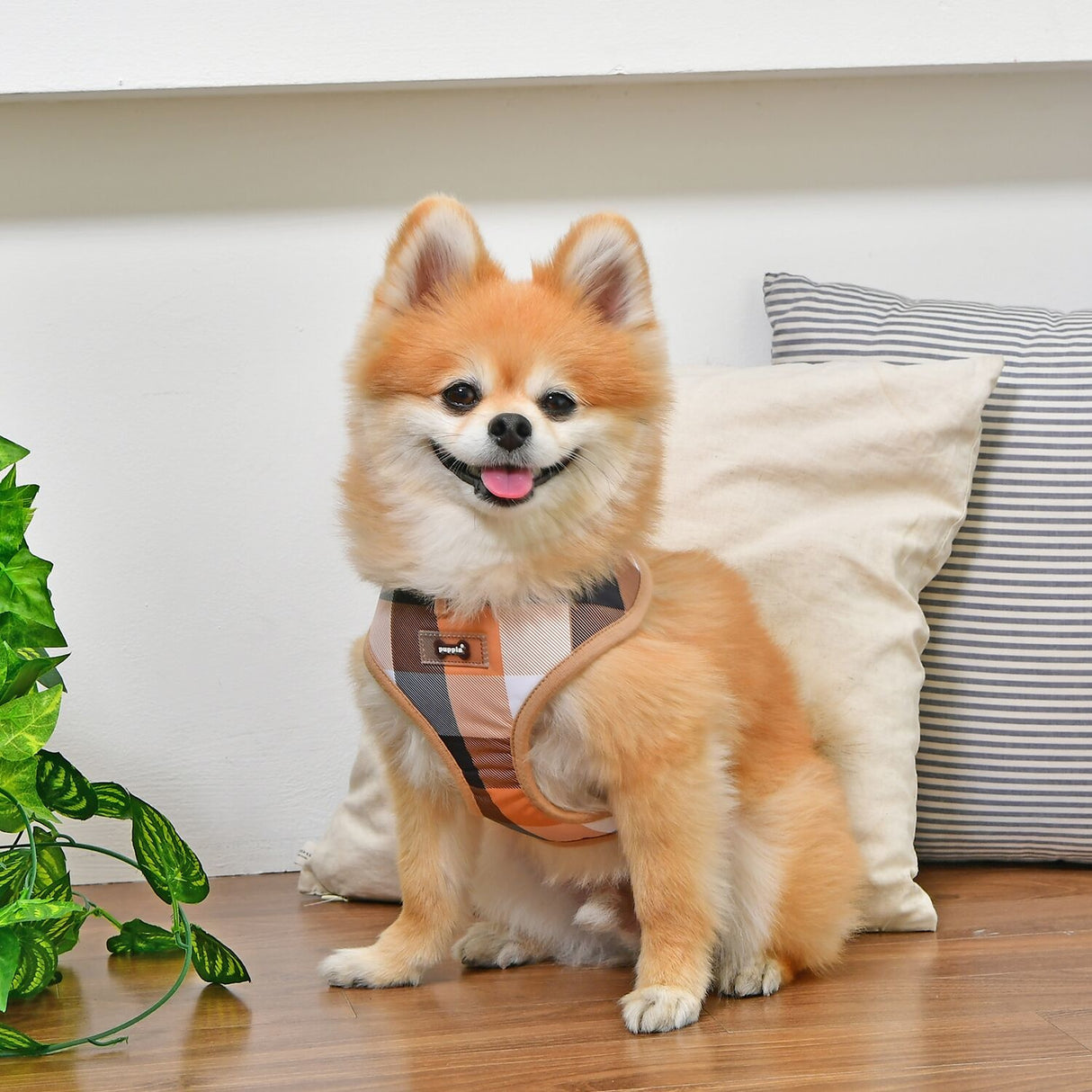 Puppia Quinn Harness model A Beige ( XL ) - Premium hondentuig > honden harnas from Puppia - Just €20! Shop now at Frenkiezdogshop