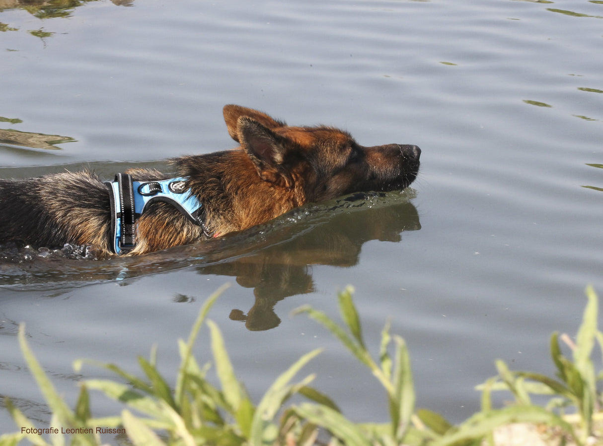 Frenkiez reflective no pull dog harness blue XS & S ) - Premium hondentuig > honden harnas from Frenkiez - Just €8.99! Shop now at Frenkiezdogshop