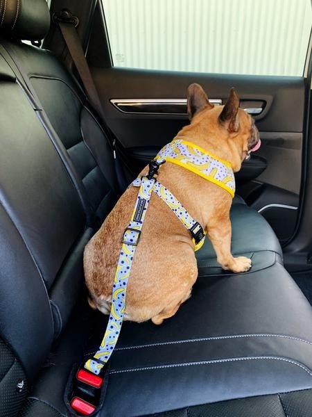 Big and Little Dogs autogordel Going Bananas Autogordel > Autoriem Standaard/One Size