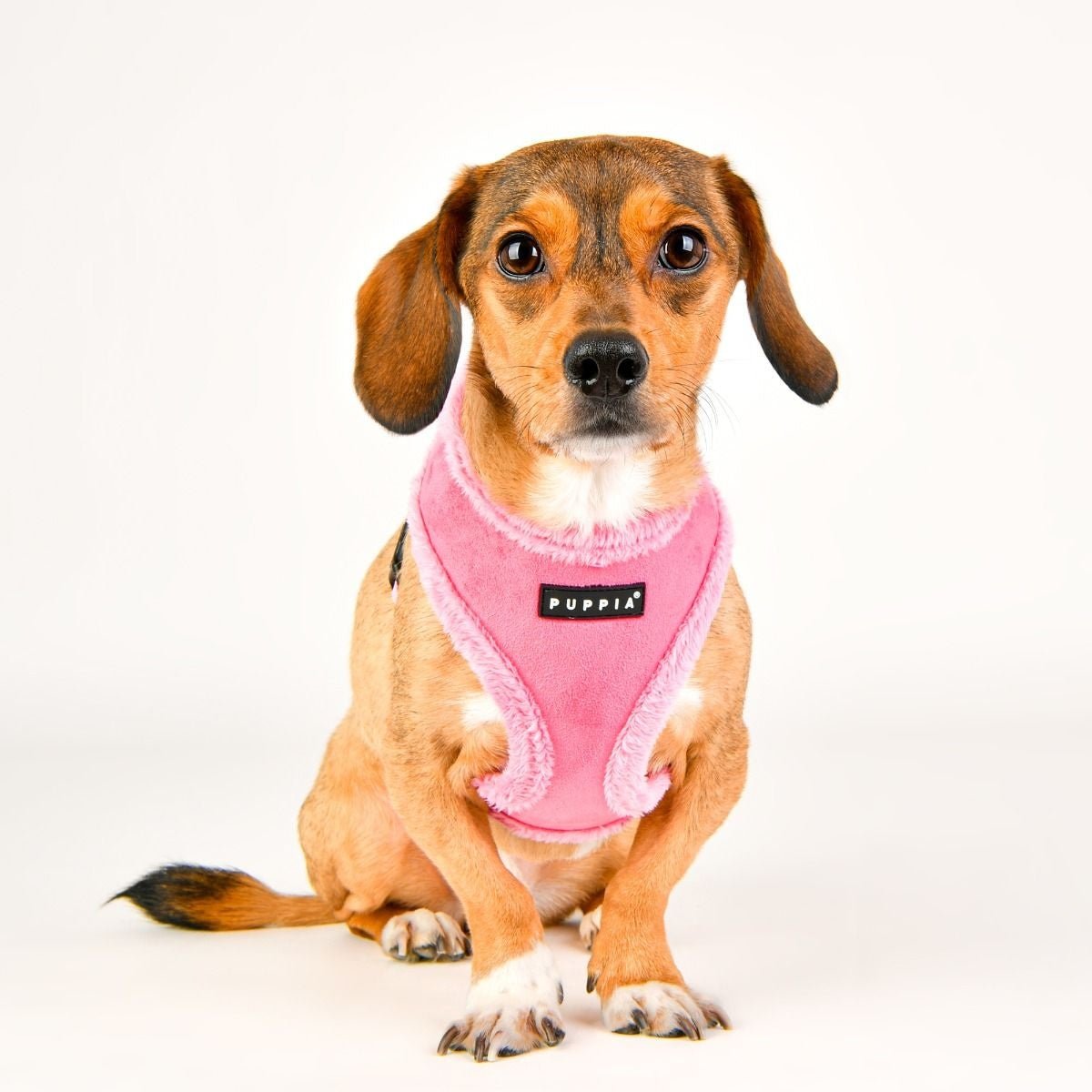 Puppia Terry Harness model A Pink hondentuig > honden harnas > model A Small