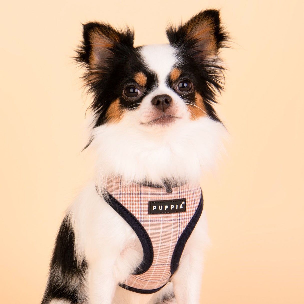 Puppia Blake Harness Model A Navy - Premium hondentuig > honden harnas from Puppia - Just €20! Shop now at Frenkiezdogshop