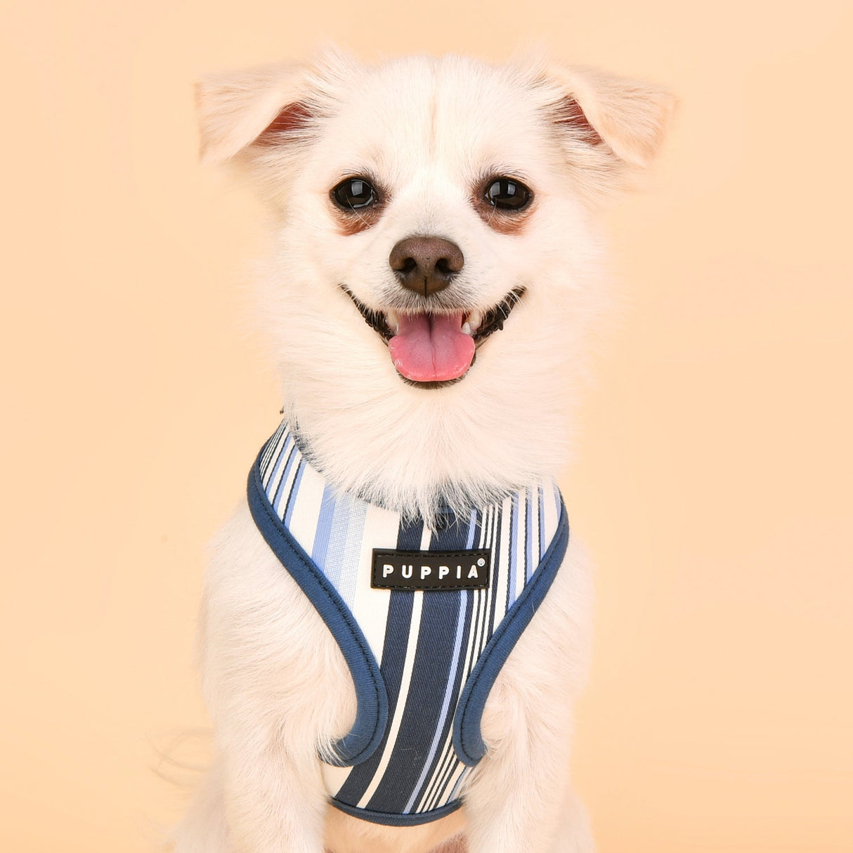 Puppia Caiden Harness Model A blue - Premium hondentuig > honden harnas from Puppia - Just €20! Shop now at Frenkiezdogshop