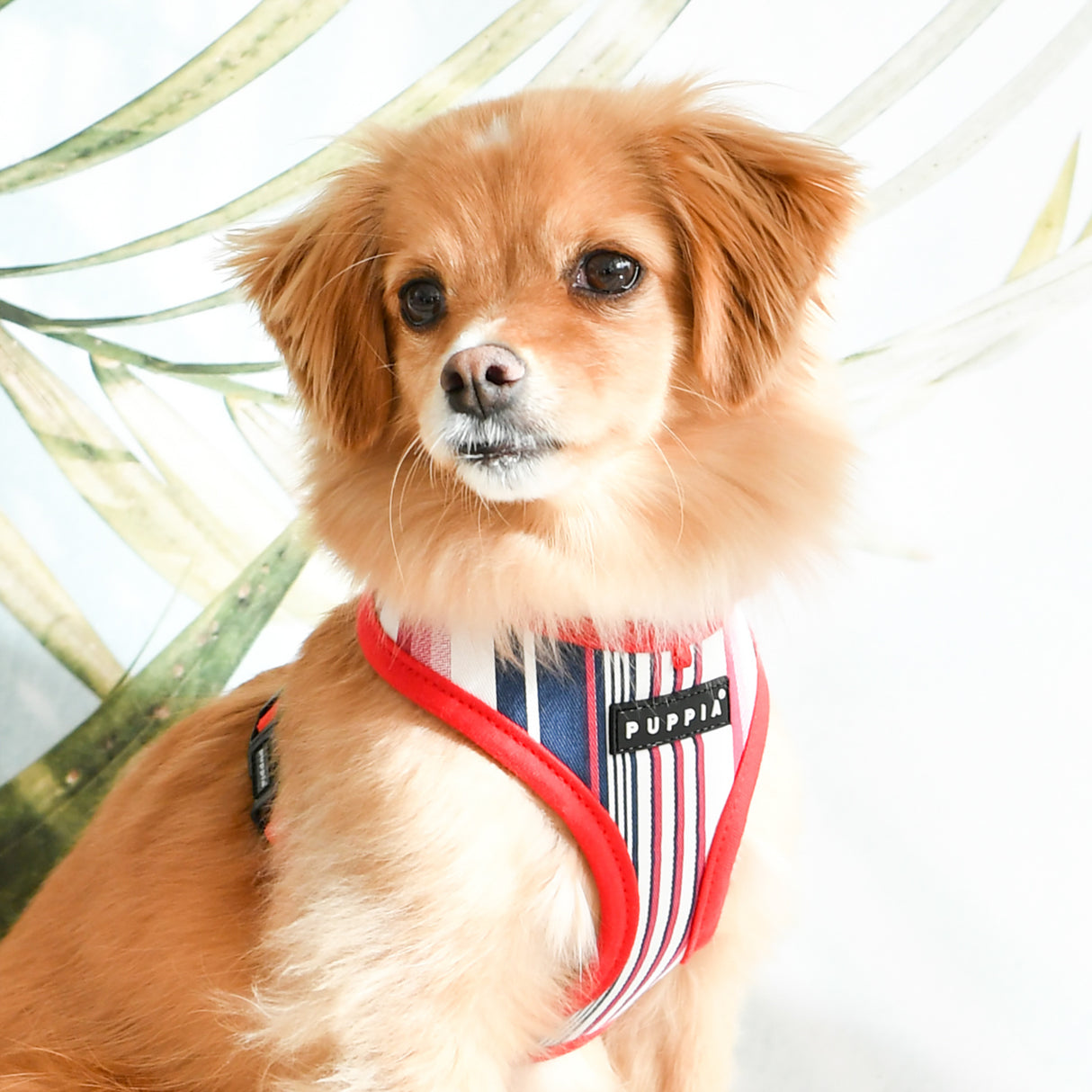 Puppia Caiden Harness Model A red - Premium hondentuig > honden harnas from Puppia - Just €20! Shop now at Frenkiezdogshop