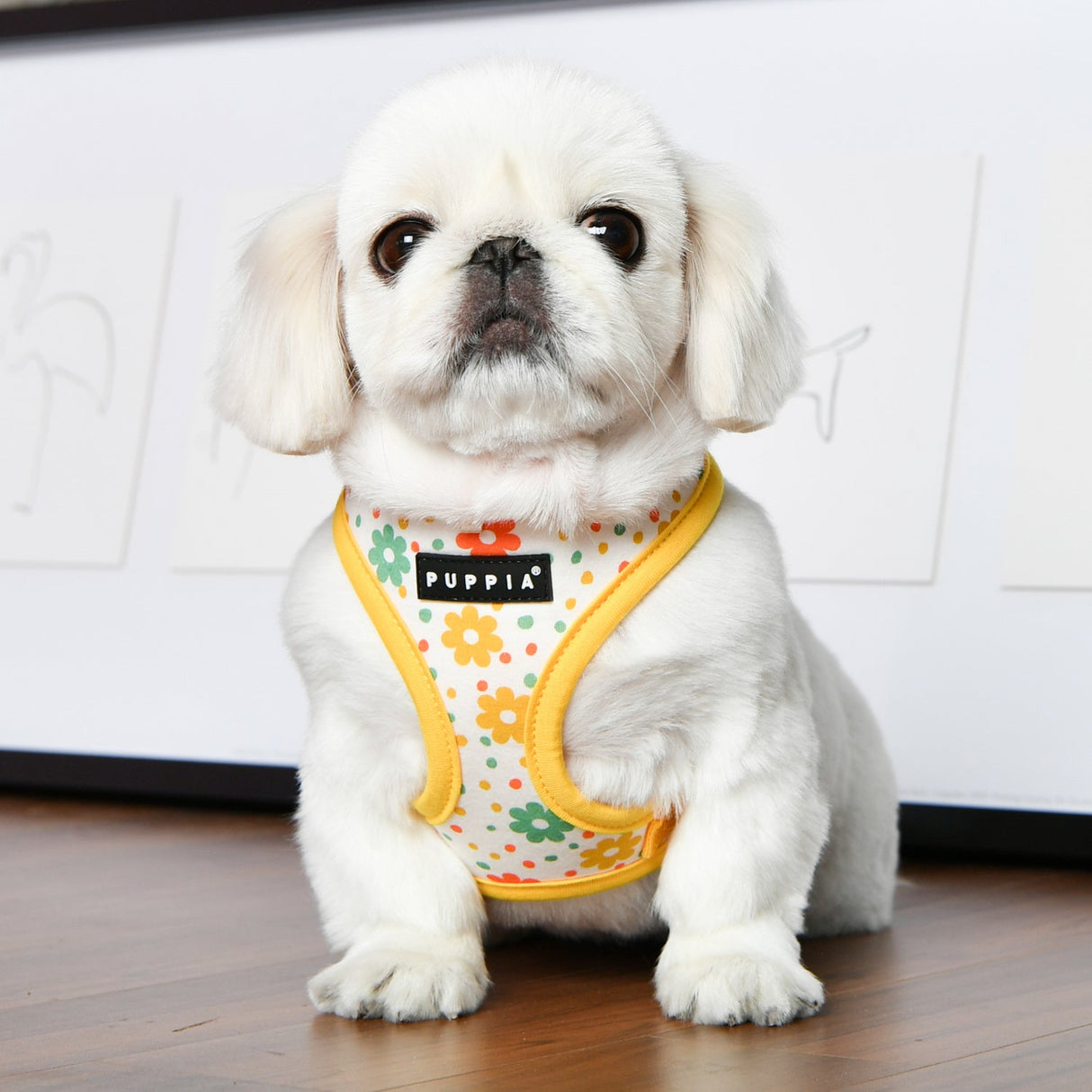 Puppia Vinca Harness Model A yellow - Premium hondentuig > honden harnas from Puppia - Just €14.99! Shop now at Frenkiezdogshop