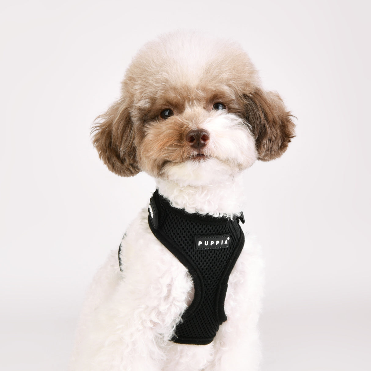 Puppia Superior Harness Model A Black hondentuig > honden harnas > model A Small