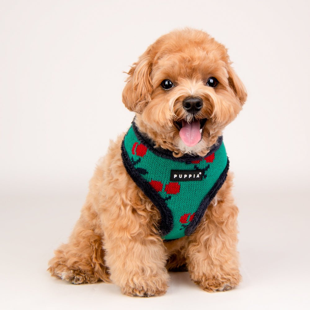 Puppia Cheryl Harness Model A Navy hondentuig > honden harnas > model A Small