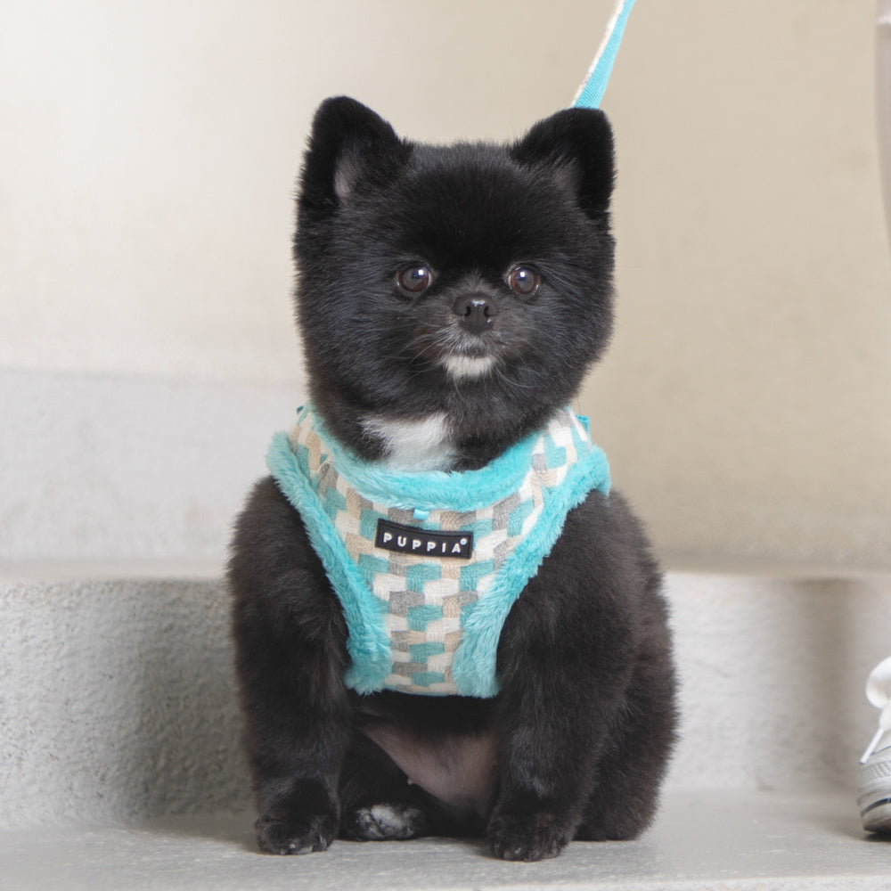 Puppia Arden Harness Model A Aqua - Premium hondentuig > honden harnas from Puppia - Just €20! Shop now at Frenkiezdogshop
