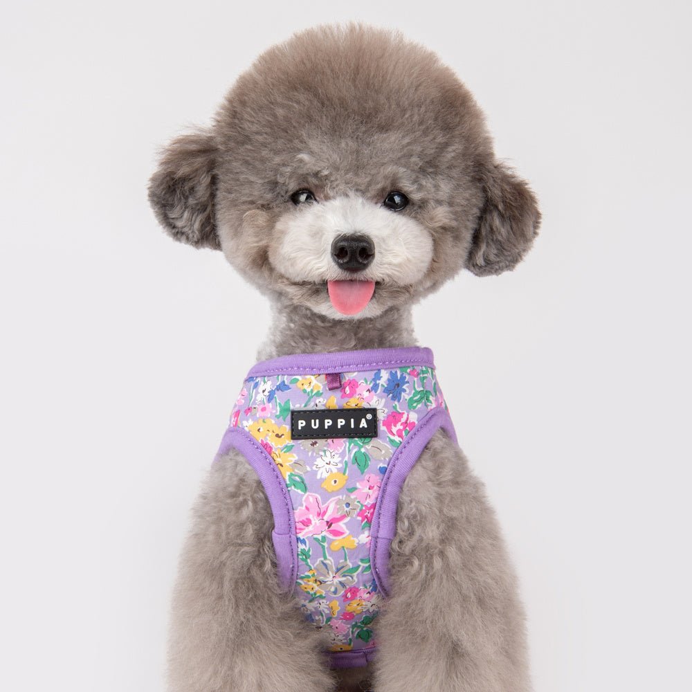 Puppia Lita Harness Model A Purple hondentuig > honden harnas > model A X - Small