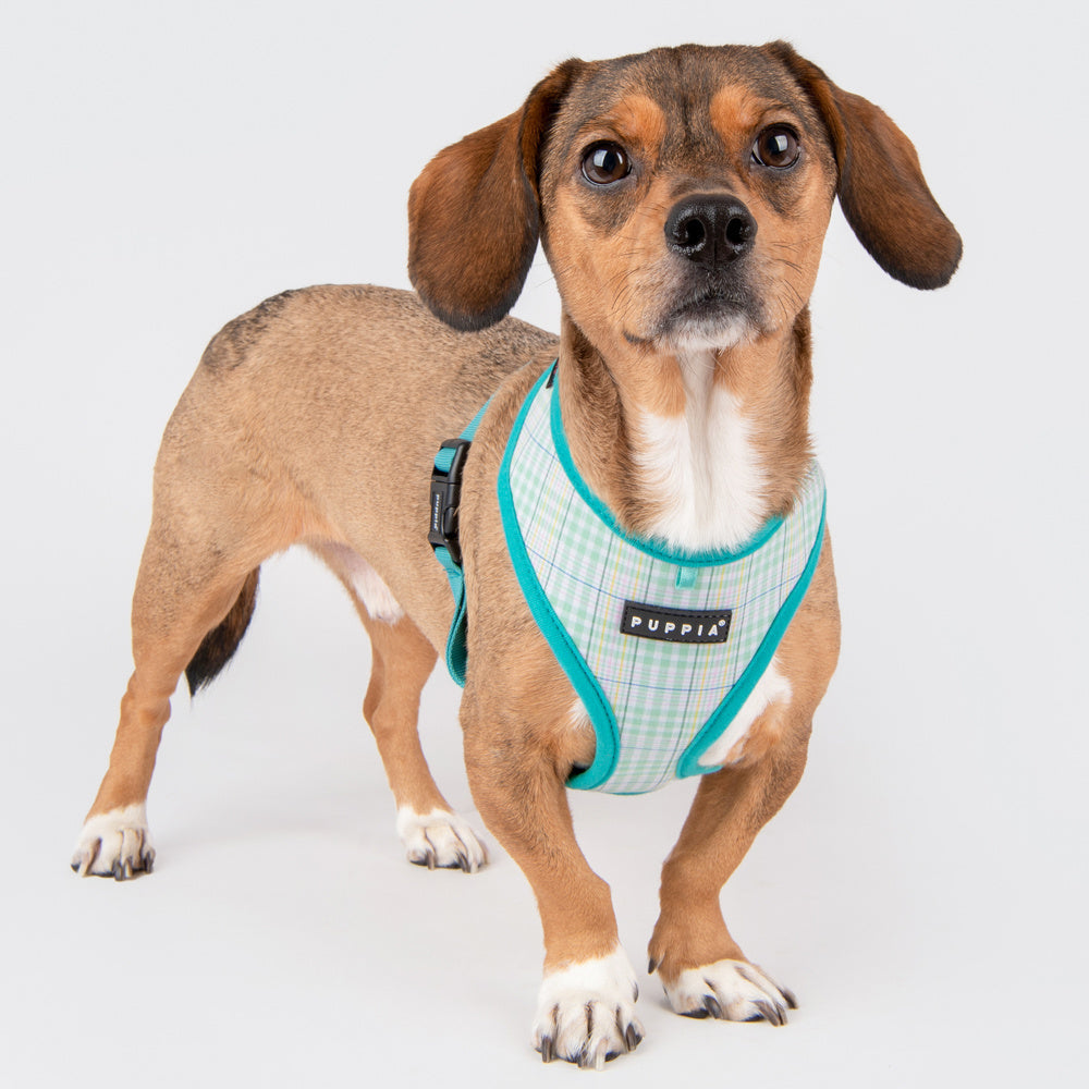 Puppia Luke Harness Model A Aqua ( X-Large ) - Premium hondentuig > honden harnas from Puppia - Just €20! Shop now at Frenkiezdogshop