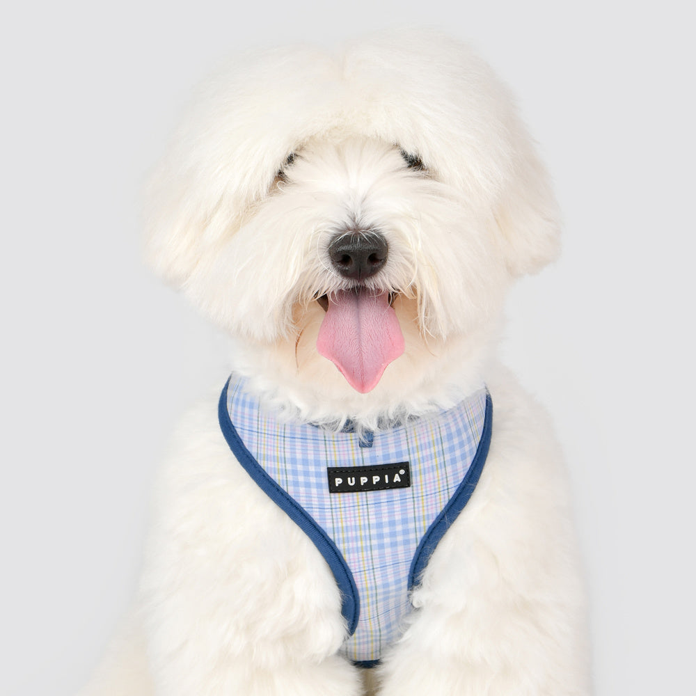 Puppia Luke Harness Model A Blue - Premium hondentuig > honden harnas from Puppia - Just €20! Shop now at Frenkiezdogshop