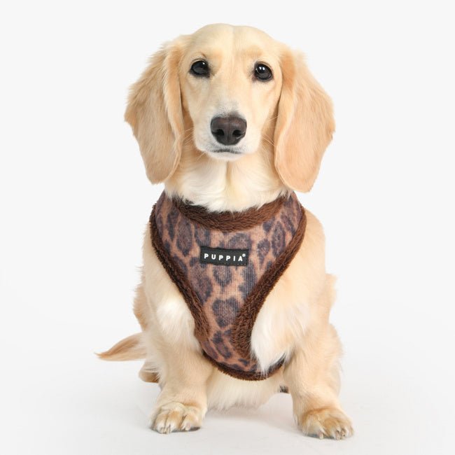 Puppia Kovo Harness Model A Brown hondentuig > honden harnas > model A Small
