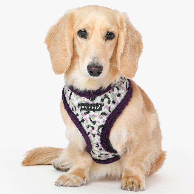 Puppia Huxley Harness Model A Purple hondentuig > honden harnas > model A Small
