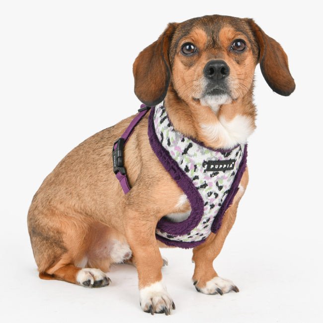 Puppia Huxley Harness Model A Purple hondentuig > honden harnas > model A Small