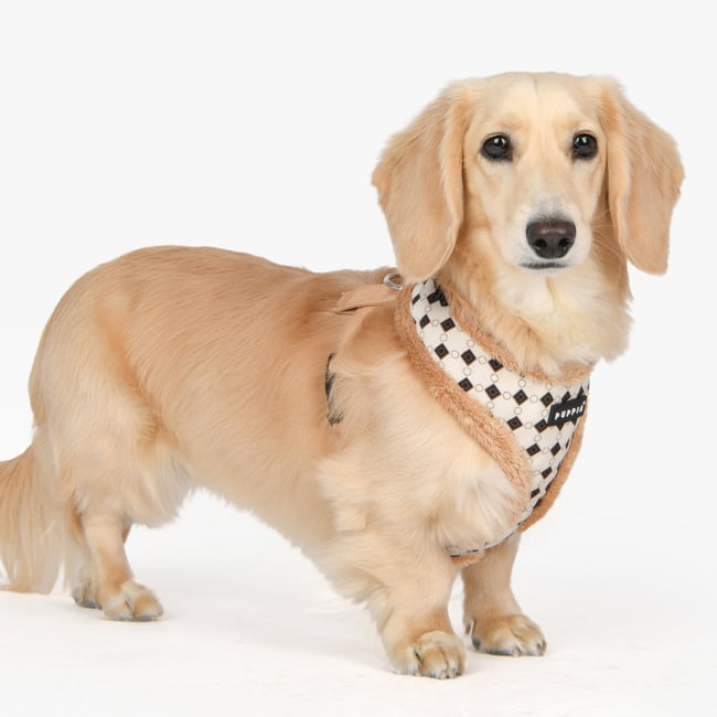 Puppia Jace Harness Model A Beige hondentuig > honden harnas > model A Small