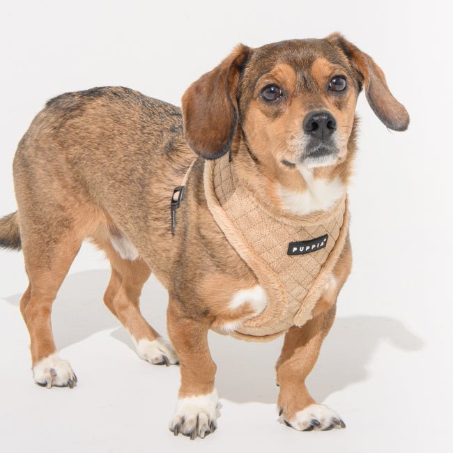 Puppia Douglas Harness model A Beige hondentuig > honden harnas > model A Small