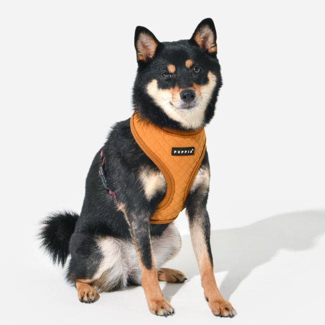 Puppia Irvin Harness model A Mustard hondentuig > honden harnas > model A Small