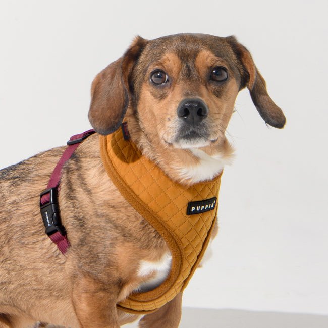 Puppia Irvin Harness model A Mustard hondentuig > honden harnas > model A Small