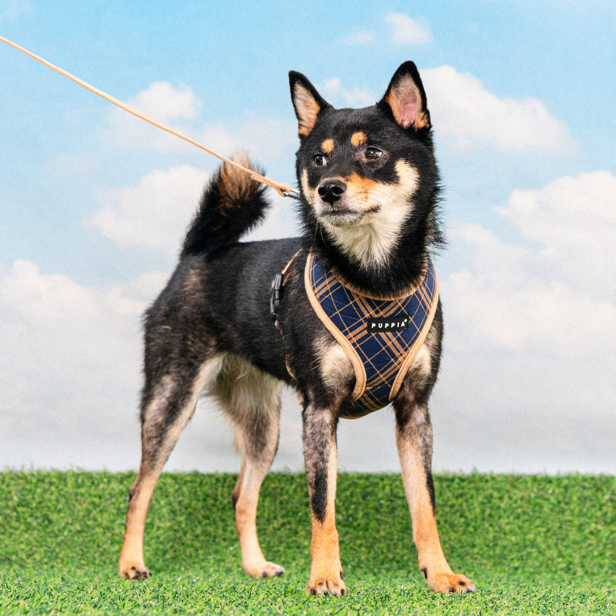 Puppia Corwin Harness Model A Navy - Premium hondentuig > honden harnas from Puppia - Just €26.99! Shop now at Frenkiezdogshop