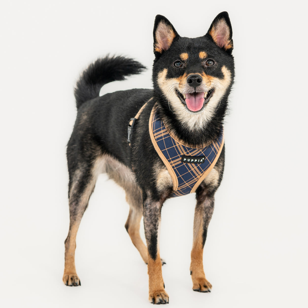 Puppia Corwin Harness Model A Navy - Premium hondentuig > honden harnas from Puppia - Just €26.99! Shop now at Frenkiezdogshop
