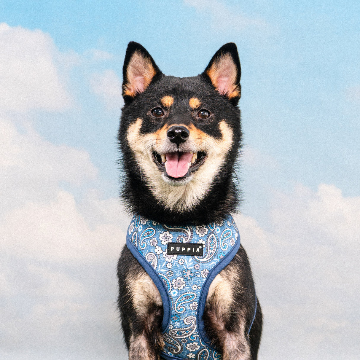 Puppia Cynthia Harness Model A Blue - Premium hondentuig > honden harnas from Puppia - Just €26.99! Shop now at Frenkiezdogshop