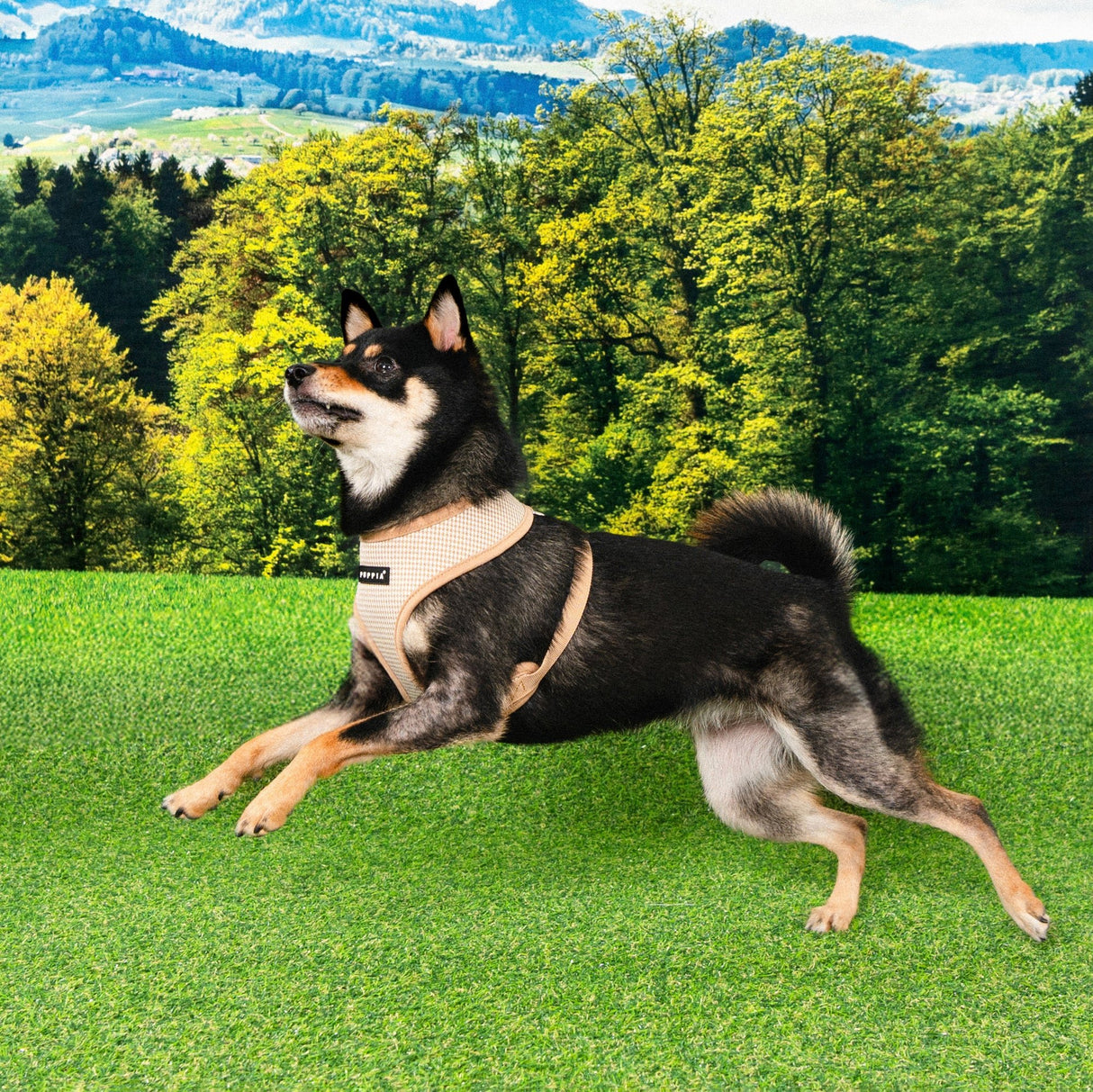 Puppia Amatus Harness Model A Beige hondentuig > honden harnas > model A Small