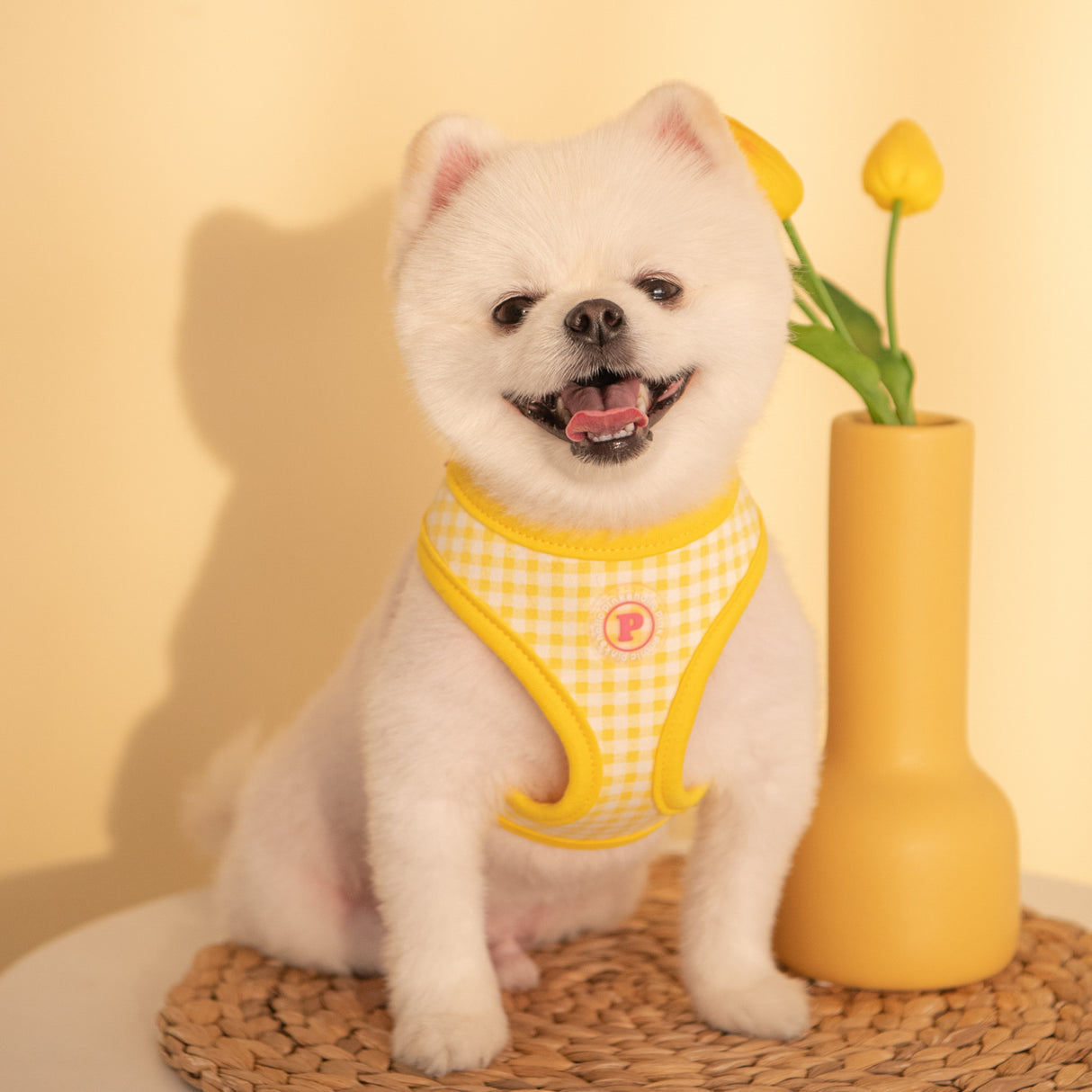 Pinkaholic Alaia harness Yellow - Premium hondentuig > honden harnas from Pinkaholic - Just €20! Shop now at Frenkiezdogshop