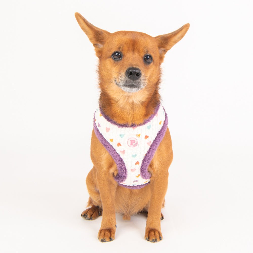 Pinkaholic Merry Harness Purple hondentuig > honden harnas > model A Small