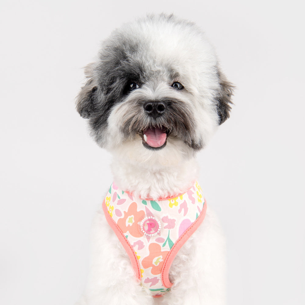 Pinkaholic Evanthe harness Indian Pink - Premium hondentuig > honden harnas from Pinkaholic - Just €20! Shop now at Frenkiezdogshop
