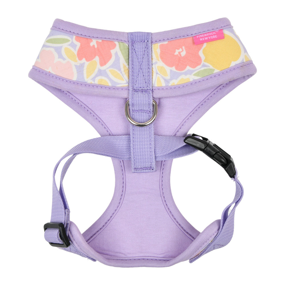 Pinkaholic Evanthe harness Purple - Premium hondentuig > honden harnas from Pinkaholic - Just €20! Shop now at Frenkiezdogshop