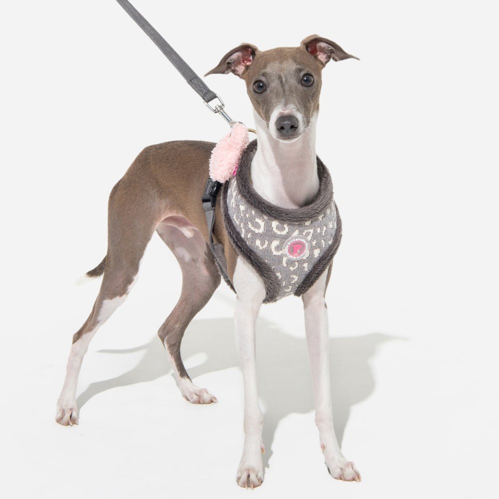Pinkaholic Tailsy Harness A Grey hondentuig > honden harnas > model A Small