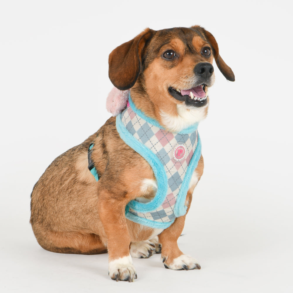 Pinkaholic Annika Harness A Aqua - Premium hondentuig > honden harnas from Pinkaholic - Just €27.99! Shop now at Frenkiezdogshop