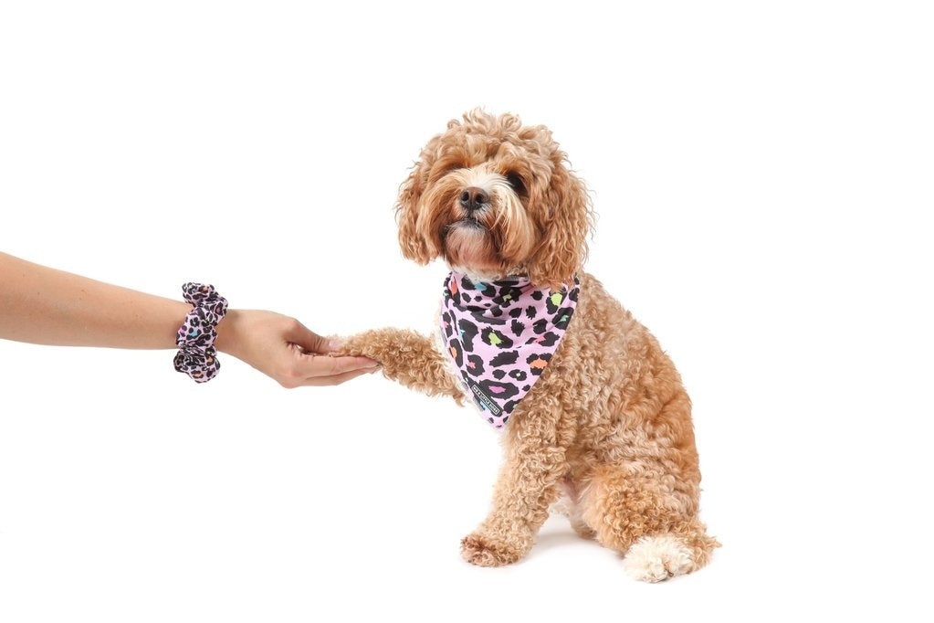 Big and Little Dogs Spotted Leopard scrunchie - Premium Haarelastiek > haarasseccoire from Big and Little Dogs - Just €5! Shop now at Frenkiezdogshop