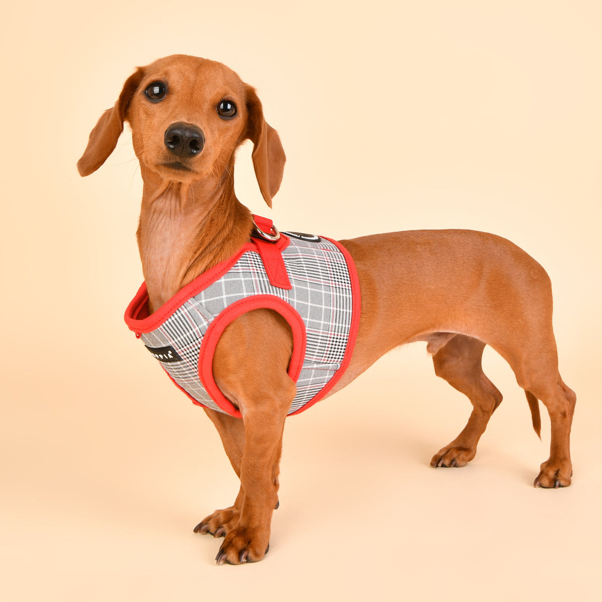 Puppia Blake Harness model B Red - Premium hondentuig > honden harnas from Puppia - Just €20! Shop now at Frenkiezdogshop