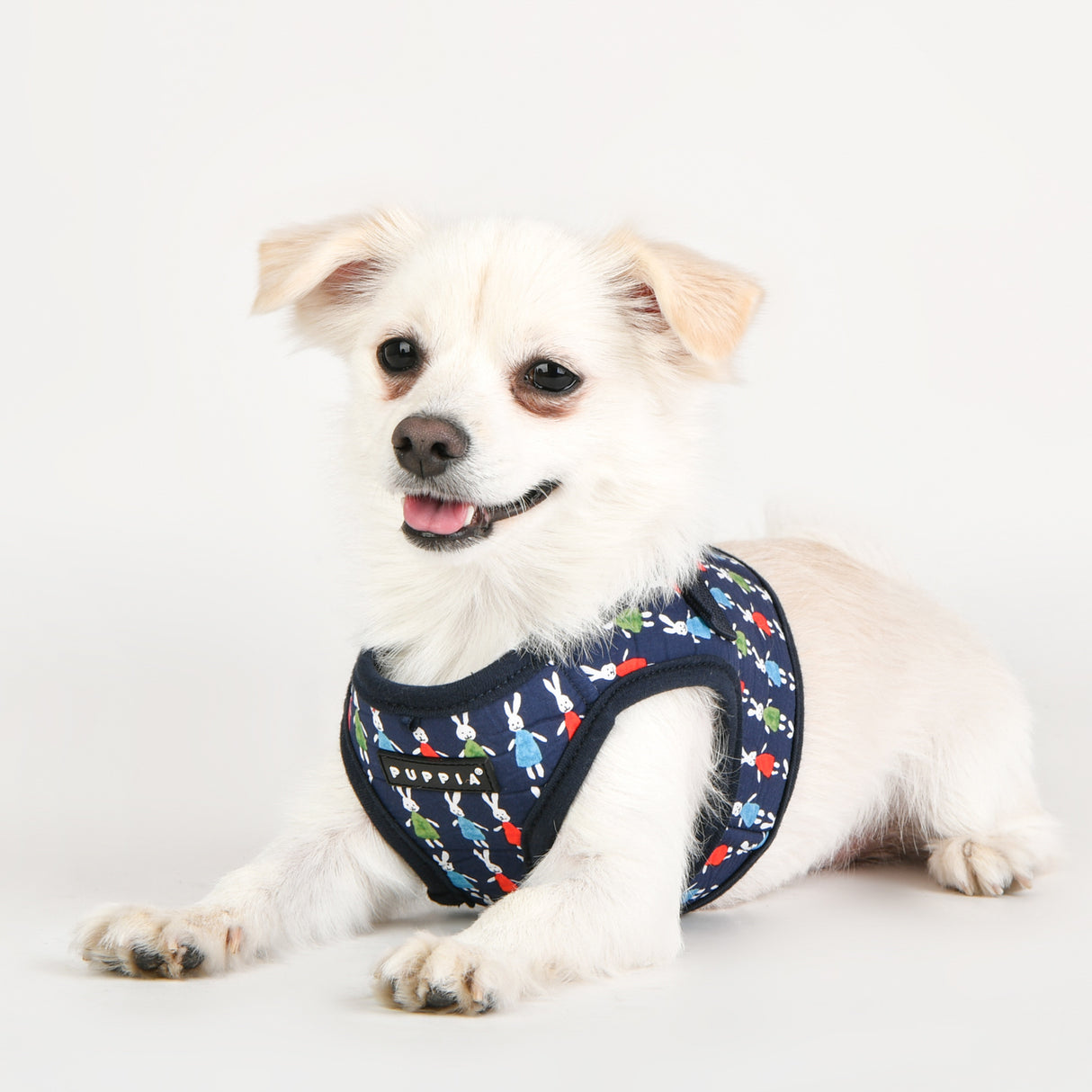 Puppia Mollie Harness model B Navy - Premium hondentuig > honden harnas from Puppia - Just €20! Shop now at Frenkiezdogshop