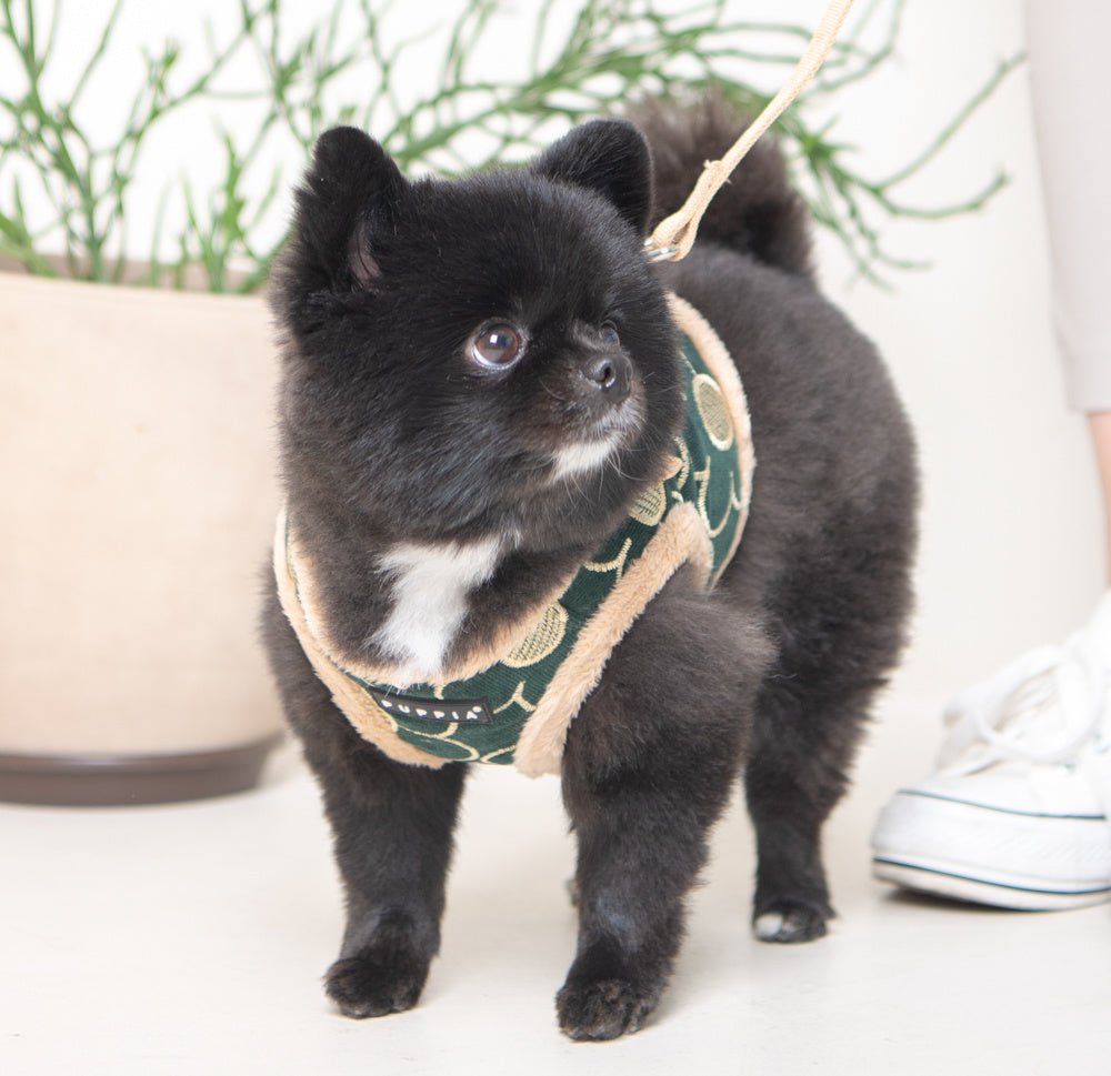 Puppia Vest Harness B Florent Khaki hondentuig > honden harnas > model B Small