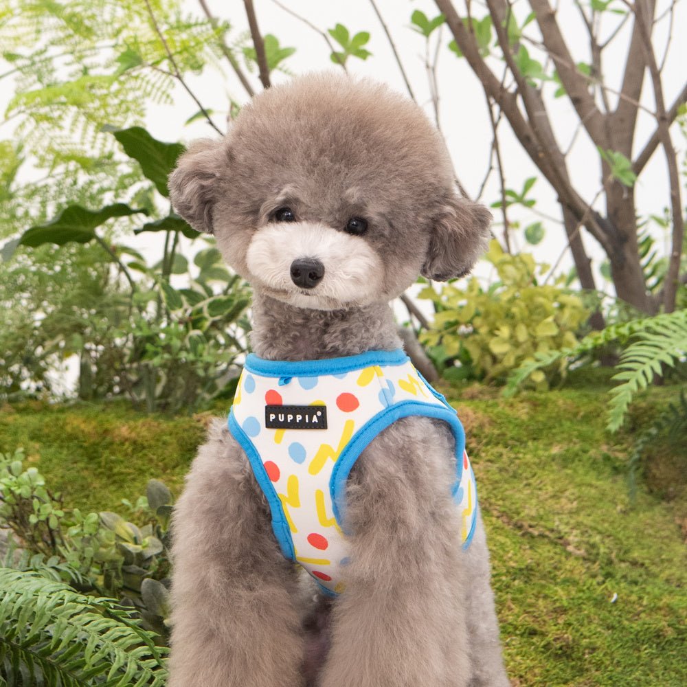 Puppia Fete Vest Harness model B Blue hondentuig > honden harnas > model B Small