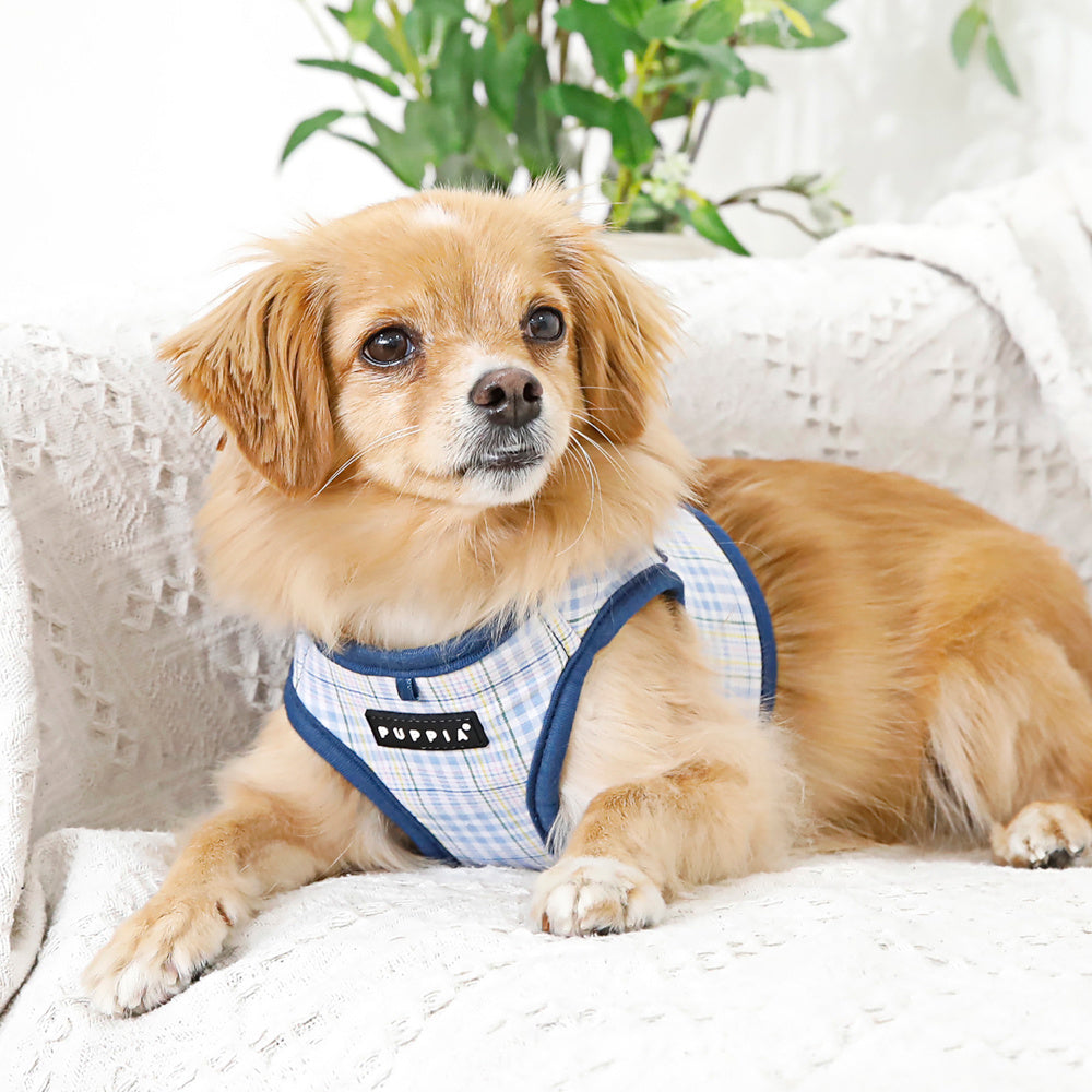 Puppia Luke Vest Harness model B Blue - Premium hondentuig > honden harnas from Puppia - Just €20! Shop now at Frenkiezdogshop