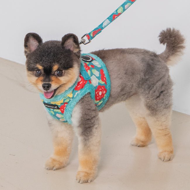 Puppia Alyssa Vest Harness model B Aqua hondentuig > honden harnas > model B Small